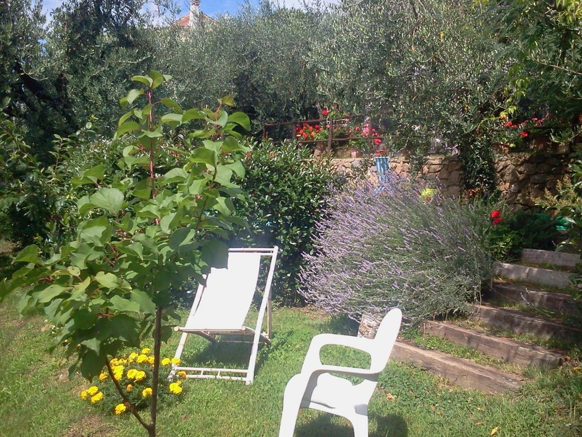 Casa Teresina Holiday home Collodi