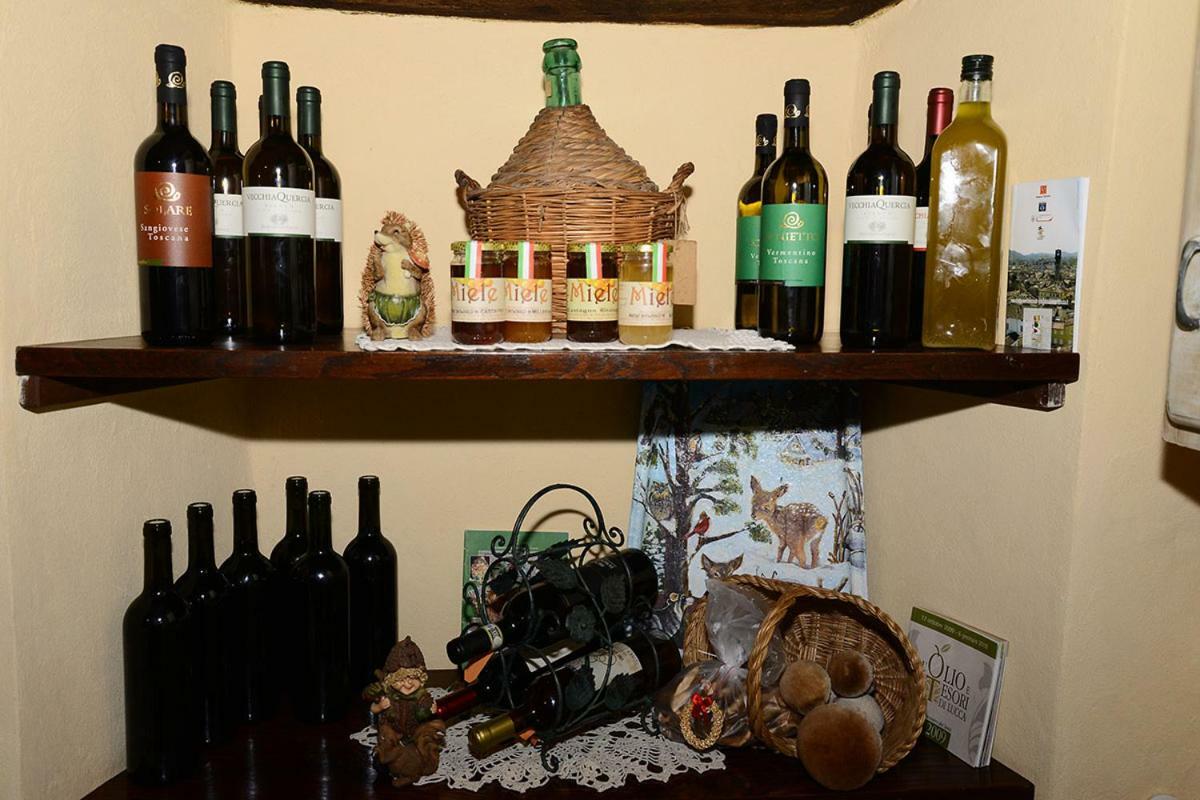 Casa Teresina Collodi